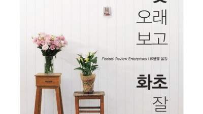 햇살 가득한 베란다 채우기 ✨ 명월초 키우기 완벽 가이드